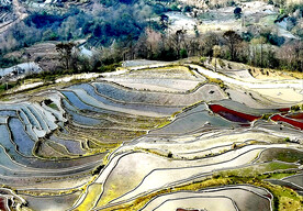 元阳哈尼梯田风光