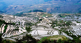 元阳哈尼梯田风光