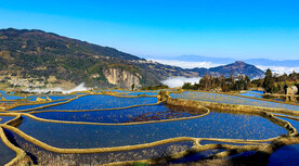 元阳哈尼梯田风光