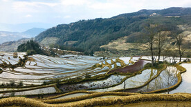元阳哈尼梯田风光