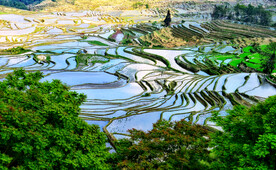 元阳哈尼梯田风光