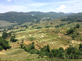 元阳哈尼梯田风光