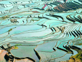 元阳哈尼梯田风光