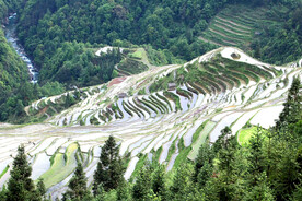 从江加榜梯田风光