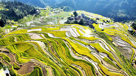 从江加榜梯田风光