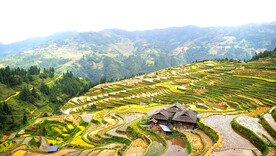 从江加榜梯田风光