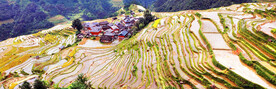 从江加榜梯田风光