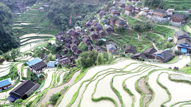 从江加榜梯田风光