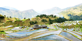 从江加榜梯田风光