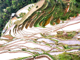 从江加榜梯田风光