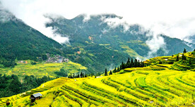 从江加榜梯田风光