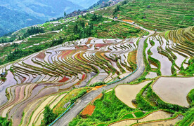 从江加榜梯田风光