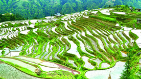 从江加榜梯田风光