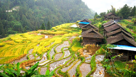 从江加榜梯田风光