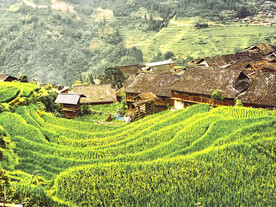 从江加榜梯田风光