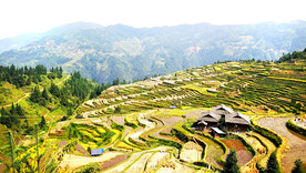 从江加榜梯田风光
