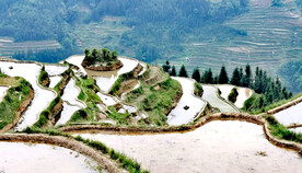 从江加榜梯田风光