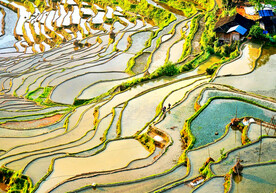 从江加榜梯田风光