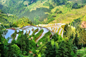 从江加榜梯田风光