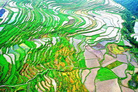 从江加榜梯田风光