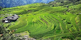 从江加榜梯田风光