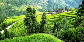 从江加榜梯田风光