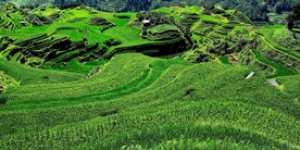 从江加榜梯田风光