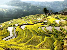 从江加榜梯田风光