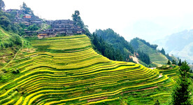 从江加榜梯田风光
