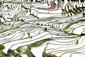 从江加榜梯田风光