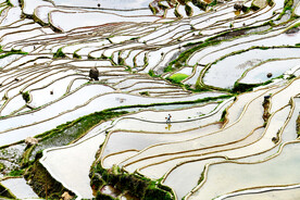 从江加榜梯田风光
