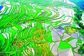 从江加榜梯田风光