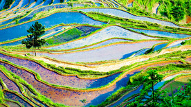 从江加榜梯田风光