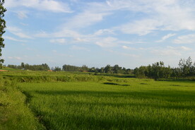 蓝天白云农村原生态老家乡村美景