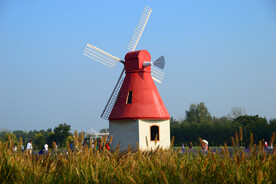 红色风车小房子 