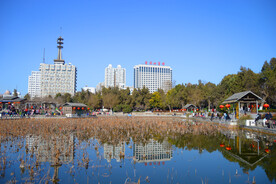 紫荆山公园荷花塘冬景