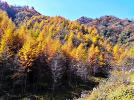 巴中光雾山风光