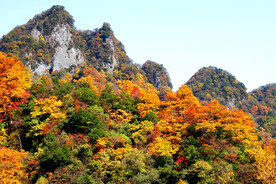 巴中光雾山风光