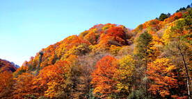 巴中光雾山风光