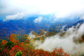 巴中光雾山风光