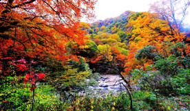 巴中光雾山风光