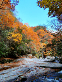 巴中光雾山风光