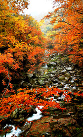 巴中光雾山风光