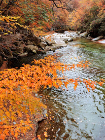 巴中光雾山风光