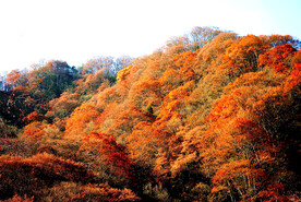 巴中光雾山风光