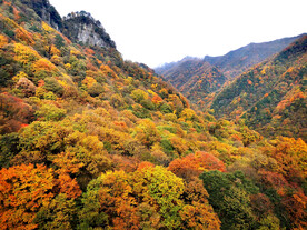 巴中光雾山风光