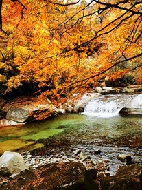 巴中光雾山风光