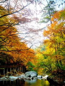 巴中光雾山风光