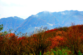 巴中光雾山风光