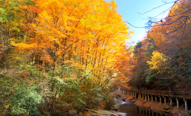 巴中光雾山风光